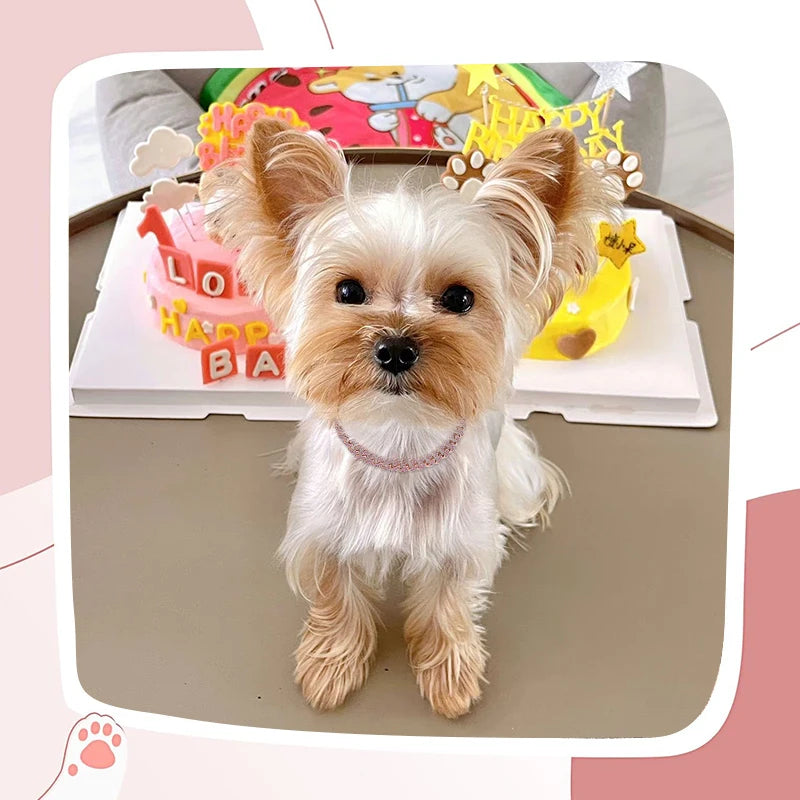 Personalized Pink Diamond Cuban Collar with Design Secure Buckle Dog Collars Gold Chain Pet Necklace for Small Medium Dogs Cat